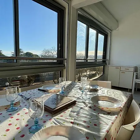 T2 Mezzanine Climatise Dans Avec Piscine -4 Couchages Ar580-350 Argeles-sur-Mer